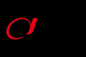 Dahua Logo