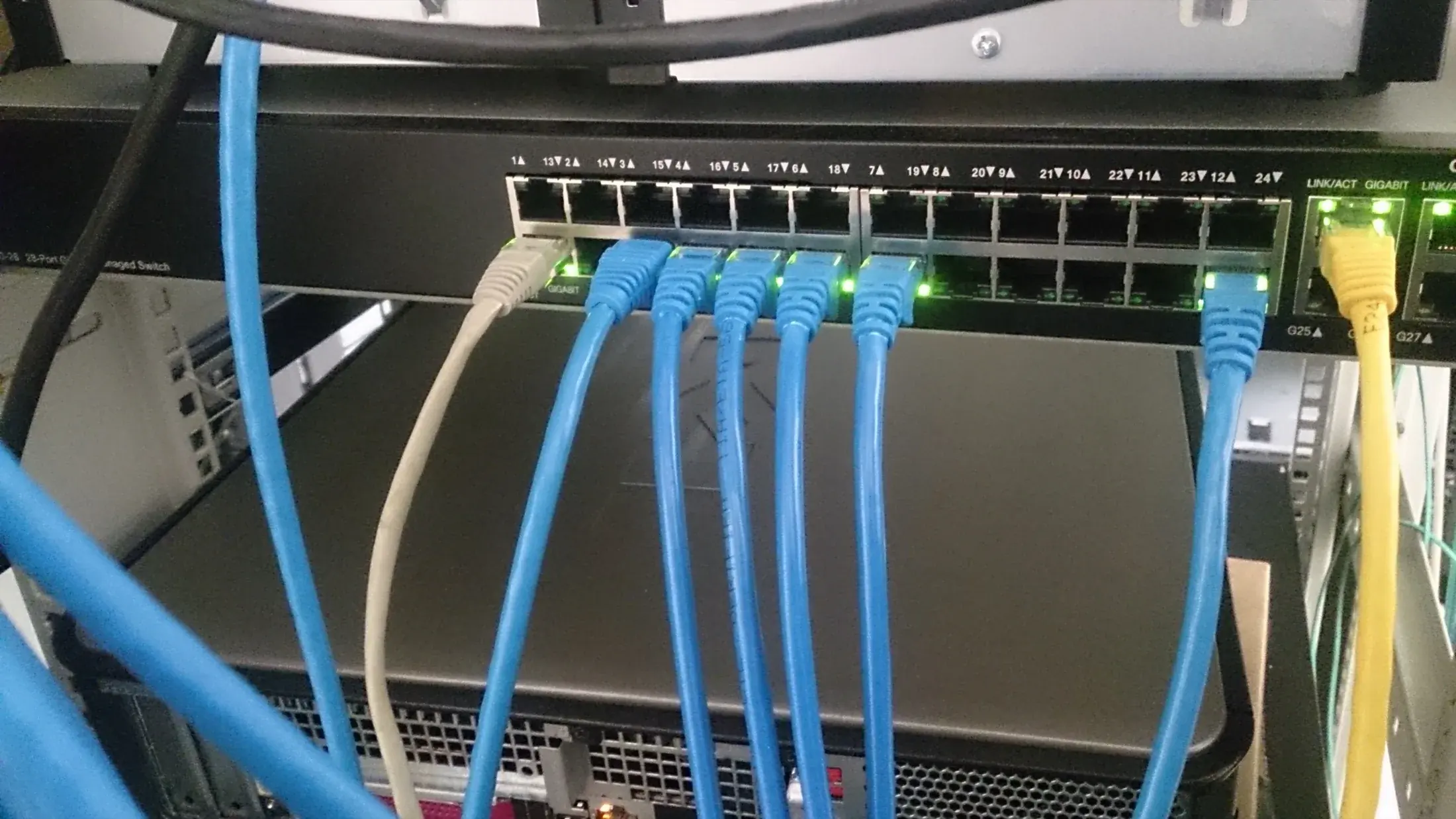 Engineer reviewing network performance and capacity analytics