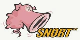 Snort logo