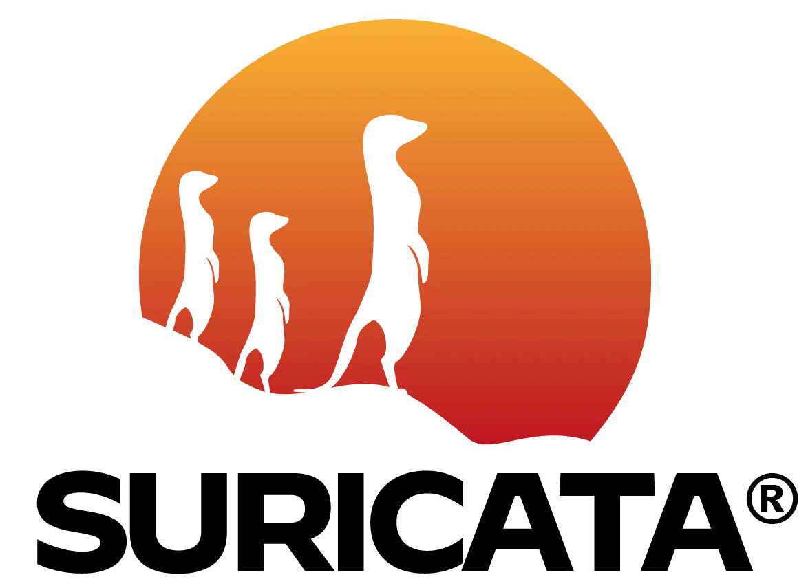 Suricata Inline Mode